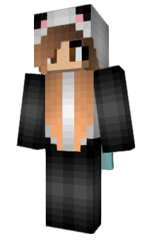 Minecraft skin Pamic