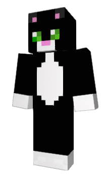 Minecraft скин по нику Zorryn
