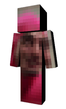 Minecraft skin Angrygeese