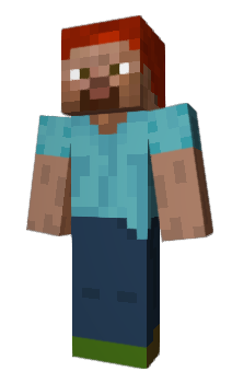 Minecraft skin isnok