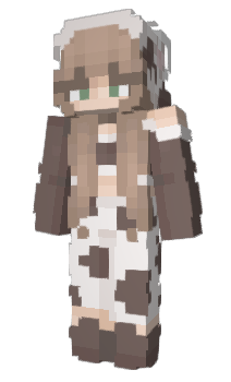 Minecraft skin Erayx