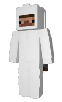 Minecraft скин по нику zpwn