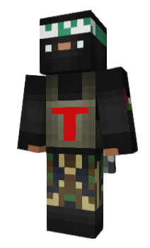 Minecraft skin Timurchik