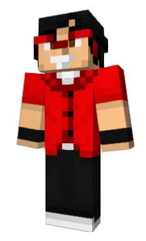 Minecraft skin Paletin