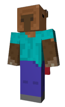 Minecraft skin manil