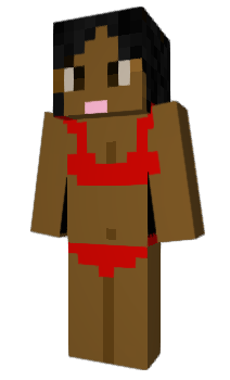 Minecraft skin The_Party