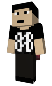 Minecraft skin pisol