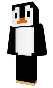 Minecraft skin ZakiP