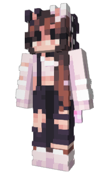 Minecraft skin Surfe