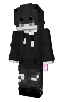 Minecraft skin Was_er