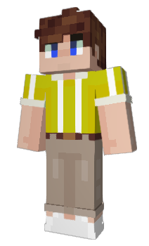 Minecraft скин по нику RobinFEM