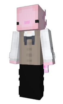 Minecraft skin bazeklein