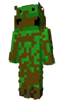 Minecraft skin 2214