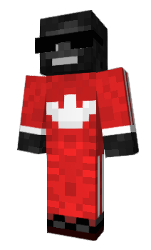 Minecraft skin Vinnicius