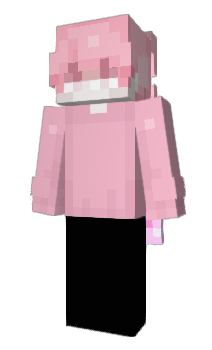 Minecraft skin Vindacator