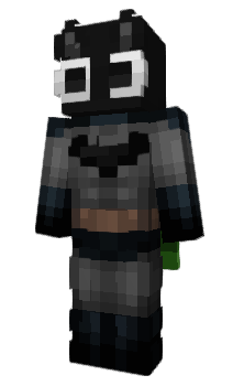 Minecraft skin hgep