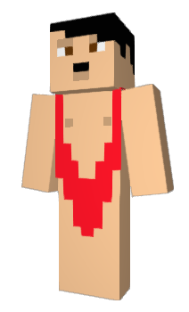Minecraft skin 2pv