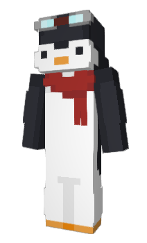 Minecraft skin PoluPL