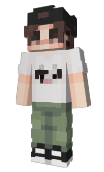 Minecraft skin Brandcnn