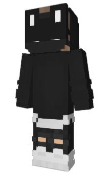 Minecraft skin 15029