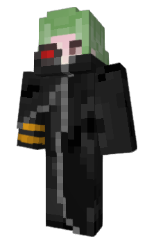 Minecraft skin DK13