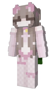 Minecraft skin wmmn