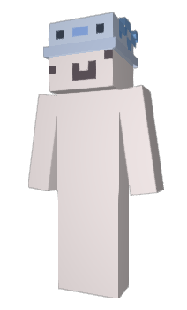 Minecraft skin hwda