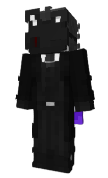 Minecraft skin pulsions