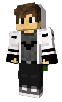 Minecraft skin V019