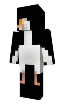 Minecraft skin Tilat