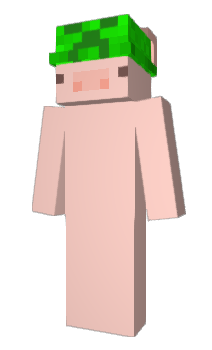 Minecraft skin Hamful