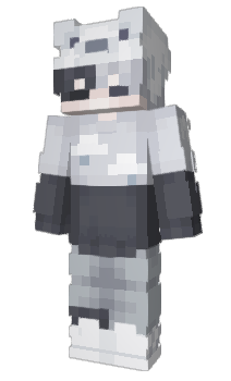 Minecraft skin Ruasi