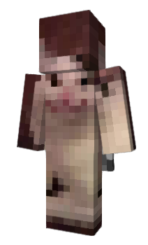 Minecraft skin D4er