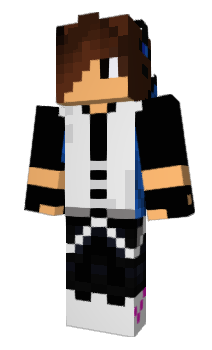 Minecraft skin _Chow