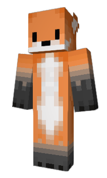 Minecraft skin dtrm
