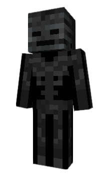 Minecraft skin dimensin