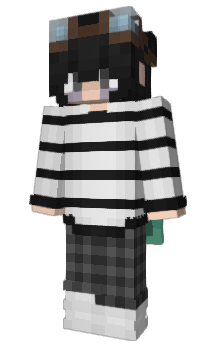 Minecraft skin pokaae