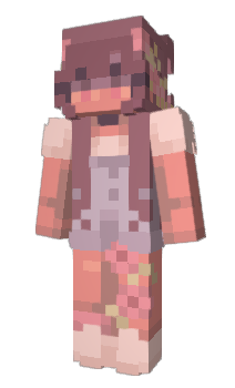 Minecraft skin Regect