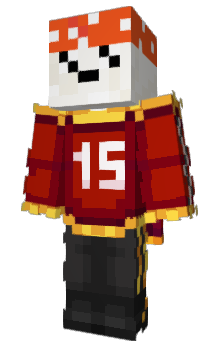 Minecraft skin MccCape