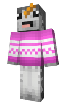 Minecraft skin 8ox