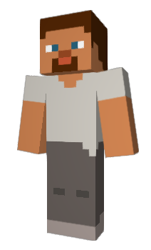 Minecraft skin Clariio
