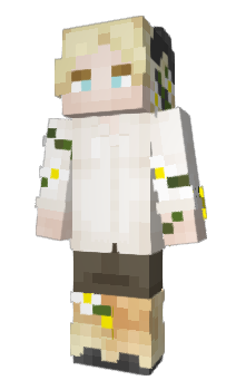 Minecraft скин по нику DudeMaii