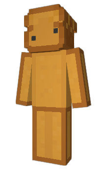 Minecraft skin MyIPAdress