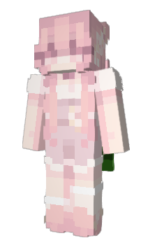 Minecraft skin 5772