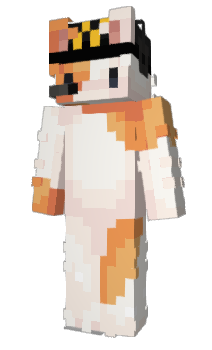 Minecraft skin Kinfu