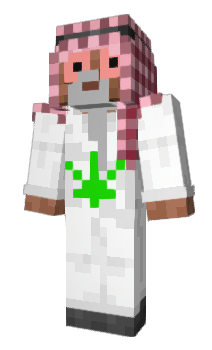 Minecraft skin Decomp