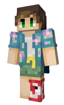 Minecraft skin hco_