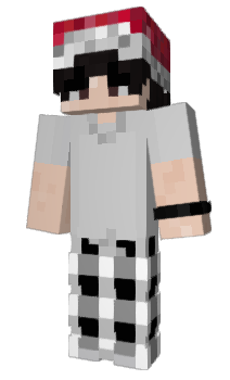 Minecraft skin ManiGHG