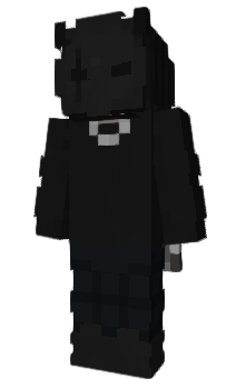 Minecraft скин по нику Winslipot
