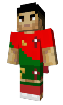 Minecraft skin Adapti